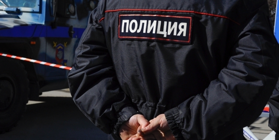 Пьяный житель Заполярного оскорбил полицейского и получил 128 часов работ