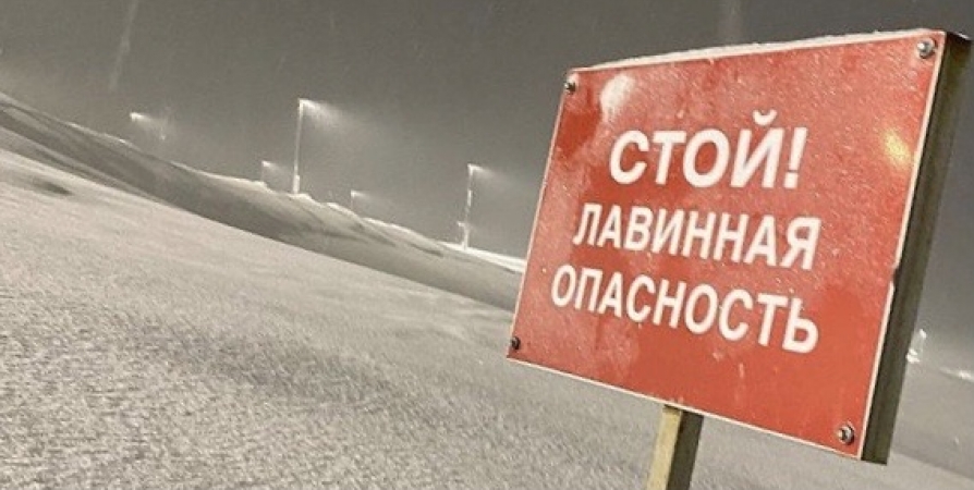 МЧС объявило о лавинной опасности возле Кукисвумчорр