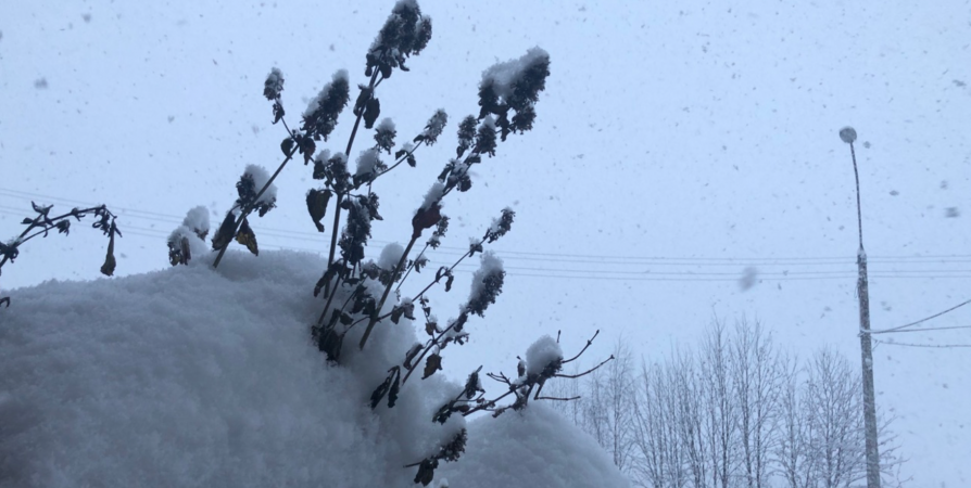 Впервые за полвека в Мурманске выпал суточный максимум снега