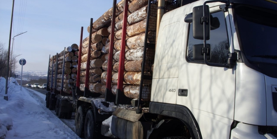 В Заполярье выявят незаконную вырубку и перевозку древесины