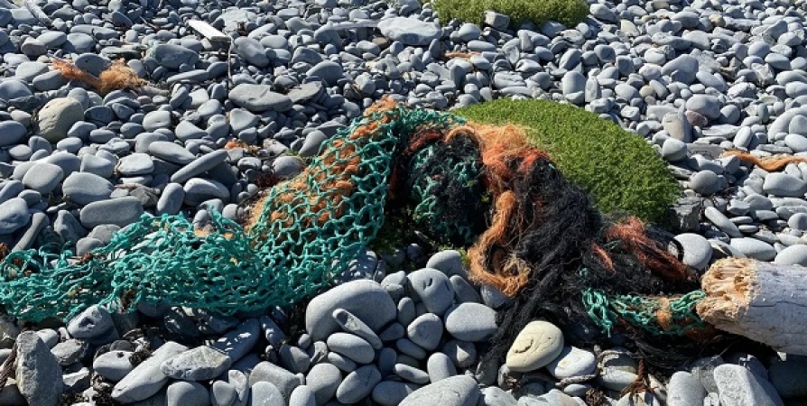 В Мурманске обсудили проблему мусора в Баренцевом море