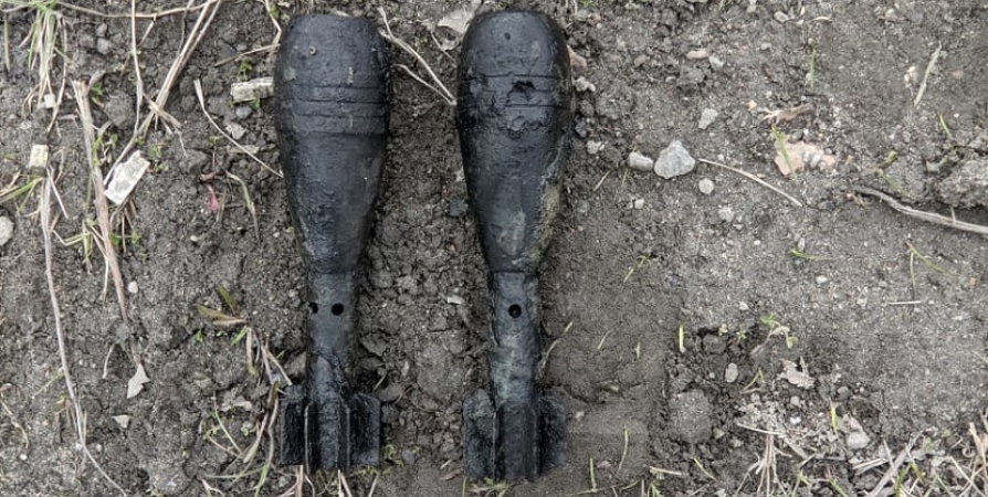 В районе Ледового в Мурманске нашли мины