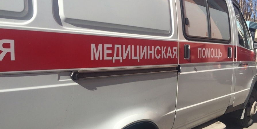 Под Мурманском в ДТП со сбитым лосем пострадал пассажир «ВАЗ»