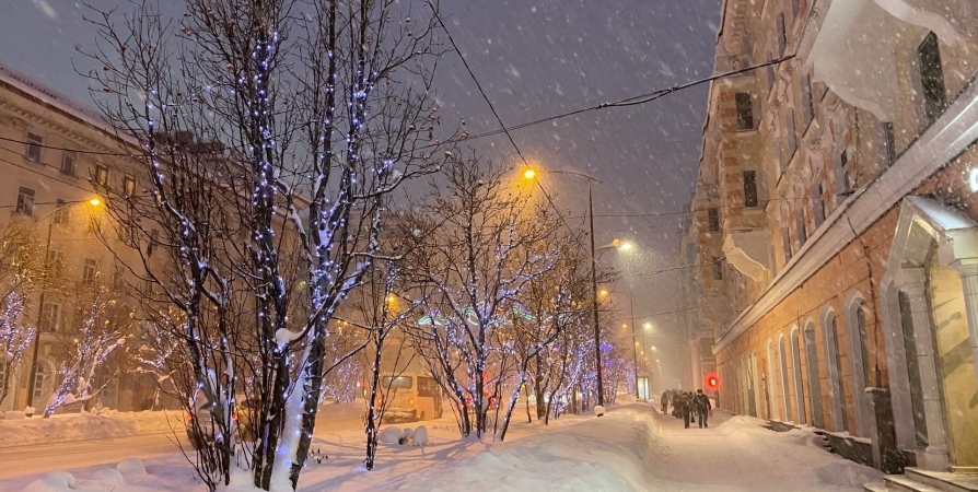 В Заполярье прогнозируют ветер до  20 м/с и сильный снег на юге региона