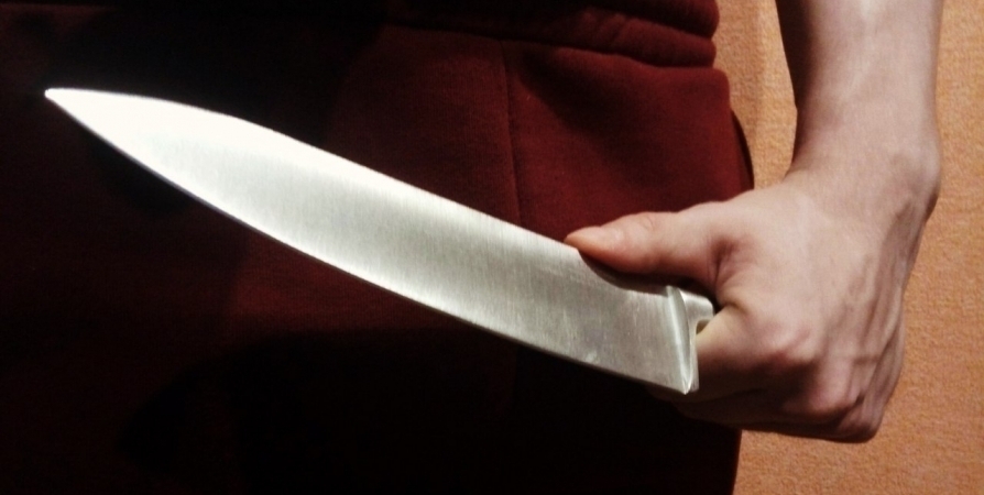 Житель Кировска напал с кухонным ножом на собутыльника