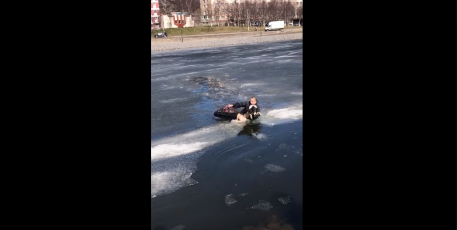В Гаджиево мужчина залез в ледяную воду ради спасения собаки