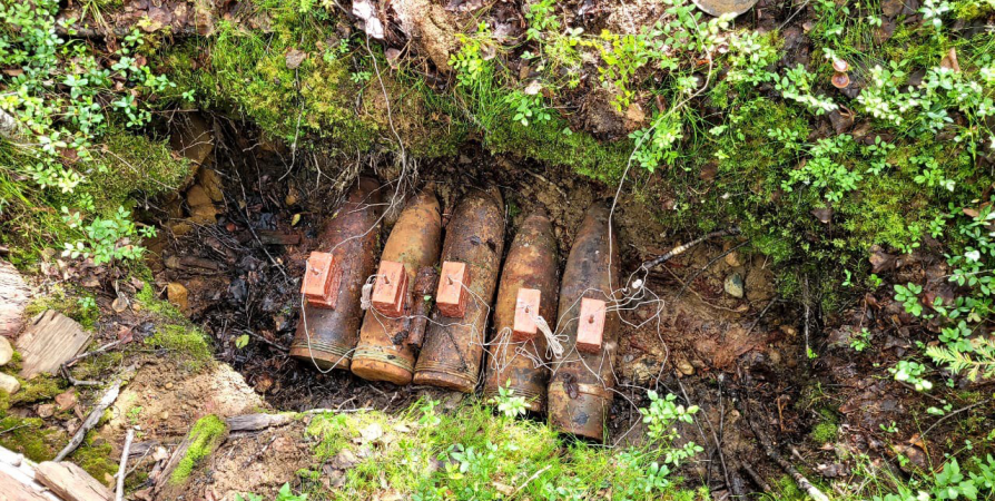 Уничтожены найденные в лесу Алакуртти снаряды и граната времен войны