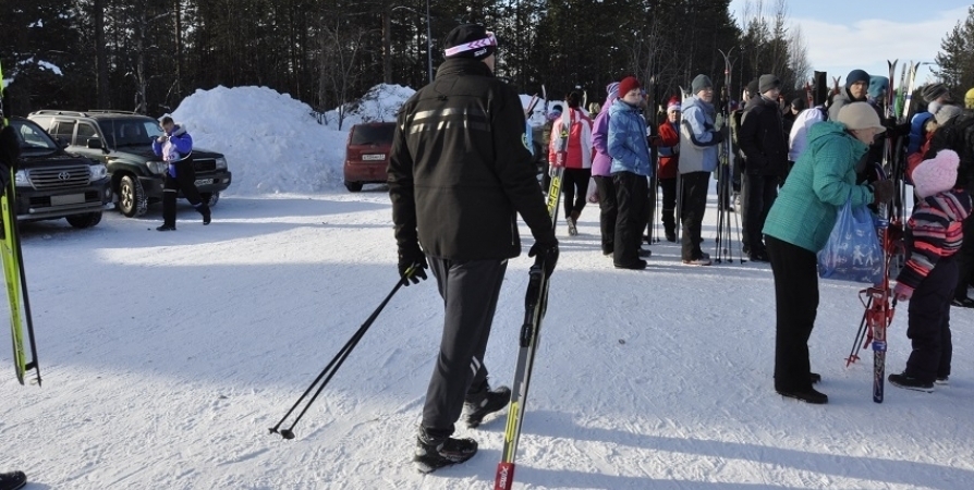 На спорткомплексе «Снежинка» благоустроят трассы для лыжников и мурманчан с собаками