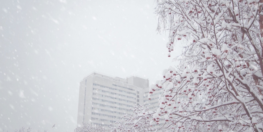 Жителей Мурманской области предупредили о снегопаде на 19 января