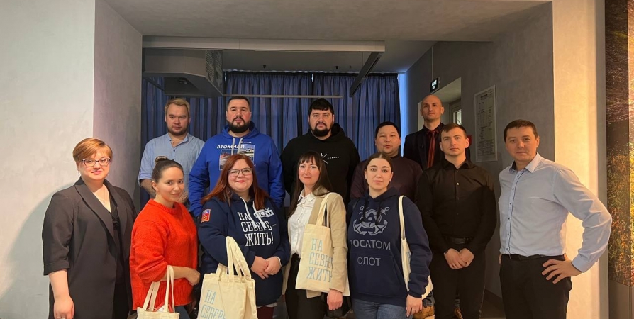 Ассоциацию советов работающей молодежи создадут в Мурманской области