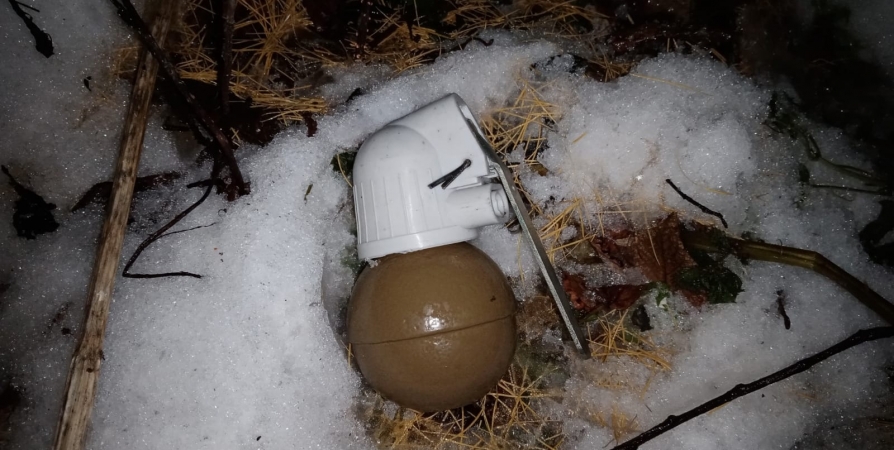 Житель Кандалакши нашел на улице Борисова массогабаритный макет гранаты РГН