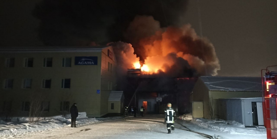 Пожар на складе рыбной мануфактуры в Мурманске тушили почти 50 спасателей