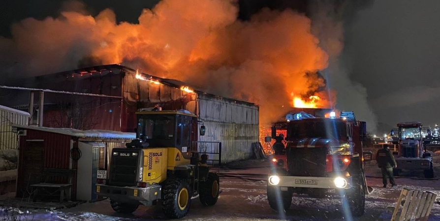 Пожар на складе рыбной мануфактуры в Мурманске взяла на контроль прокуратура