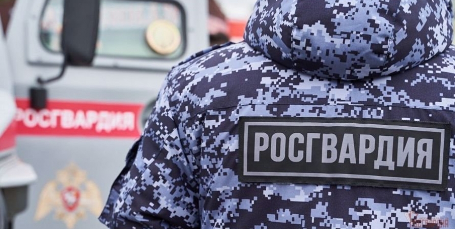 Мигранта из СНГ задержали в Мурманске при оформлении документов