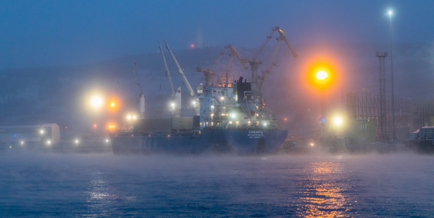 За год Торговый порт Мурманска обеспечил погрузку 1,3 млн тонн в рамках Арктической программы страны