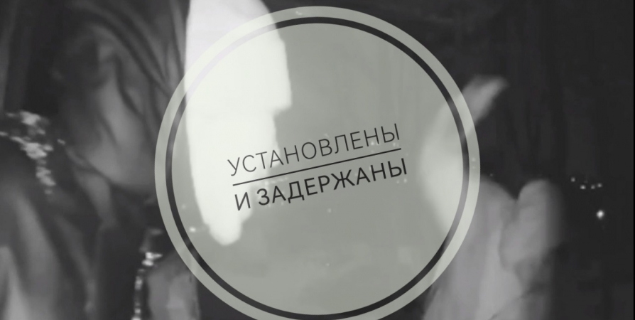 Избиение «на камеру»: в Мурманске задержаны участники драки, попавшей в объектив «умного» домофона