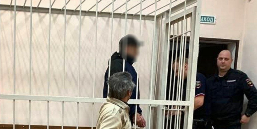 Обвиняемого в истязании внука североморца оставили в СИЗО еще на 3 месяца