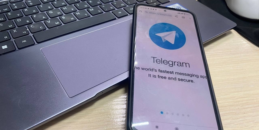 60% жителей Мурманской области пользуются Telegram - исследование