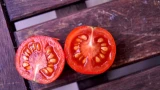 Этот сорт томата даёт щедрый урожай — обладает впечатляющими особенностями