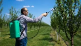 Первая весенняя обработка сада от вредителей: чем и когда — не упустите время