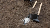 Аккуратнее с золой на грядках: как не угробить урожай — вред или мощный урожай