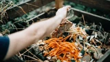 Компост не созревает годами: 3 фатальных ошибки — совершают многие дачники