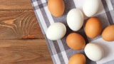 Белые или коричневые: какие яйца вкуснее и полезнее — вот о чём надо знать
