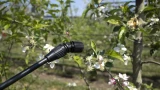 Весенняя обработка сада от паразитов: готовимся к получению хорошего урожая заранее — несколько важных советов