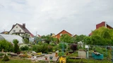 Клещи пустятся в бегство: сажаем 4 пахучих растения — природа работает безотказно