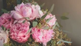 Пышное цветение пионов достигается некоторыми манипуляциями: превосходный результат за короткий срок — доступно каждому