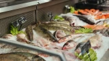 На некоторую рыбу с головой лучше не смотреть — ночью будут сниться кошмары: какие «монстры» продаются в виде тушек