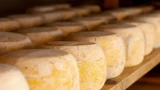Как при покупке отличить сыр от сырного продукта: это можно сделать визуально — на что обратить внимание