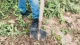 Землю больше не перекапываю — иначе почва вам отомстит: 3 причины отказаться от привычки
