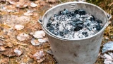 Зола — не панацея: сыпать почём зря нельзя — бесполезные способы применения