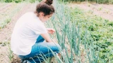 Как сорняки спасают урожай: советы агронома по выращиванию зеленого лука — проверено годами