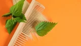 Натуральный уход за волосами: выпадение остановит крапива — как приготовить настой