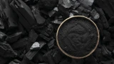 Рассказал сосед-агроном: каким растениям не нужна зола — ошибка, которая может испортить урожай