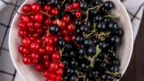 Смородина с перепелиное яйцо: лайфхак от дачного волшебника — один весенний полив творит магию