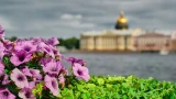 Мы схитрили: наш поход в Петергоф без толкучки и лишних трат — делимся секретами