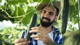 Огуречная формула: 10 секретов ухода за огурцами — от выбора семян до удобрения
