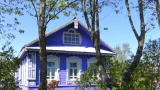 Май — время активности дачников: что посадить на участке