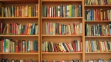 Как в СССР воспитывали героев: все дети читали 5 книг — входили в школьную программу