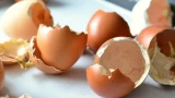 Деньги на удобрения не трачу: делаю сама из яичной скорлупы, уксуса и воды — такого урожая, как я, ни один сосед не собирает