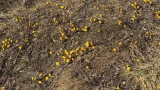 Без осадков и до +15°: в Мурманскую область вернулась весна