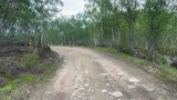 В лесополосе Мурманска поймали молодого дилера с пакетом наркотиков