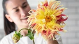 6 идеальных цветов для сада: проверены временем — цветут пышно, в уходе неприхотливы