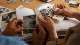 Сулят несчастье и предвещают смерть: почему на старинных снимках не видно деревьев