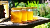 Засахарившийся мед можно реанимировать: вкус и аромат будут прежними — есть простой способ