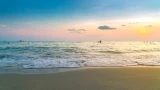 Саргассово море: загадочный оазис в сердце океана