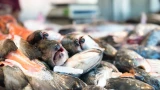 Тухлых лещей больше не выбрасываю — секрет, который позволит насладиться настоящим деликатесом